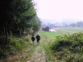  Blick auf die Wanderstrecke 